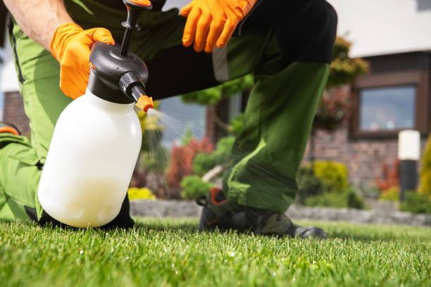 Best Pest Removal Services  in Pantego, TX