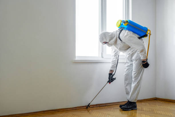 Professional Pest Control in Pantego, TX